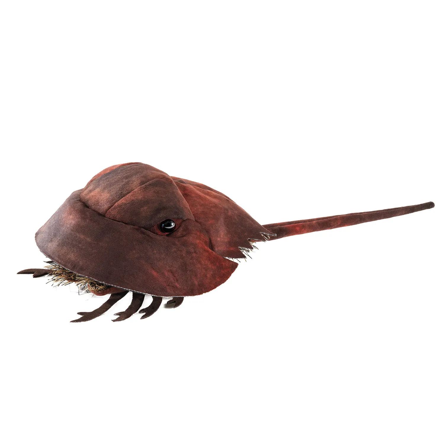 Horseshoe Crab / Pfeilschwanzkrebs Horseshoe Crab / Pfeilschwanzkrebs-Folkmanis® Puppets
