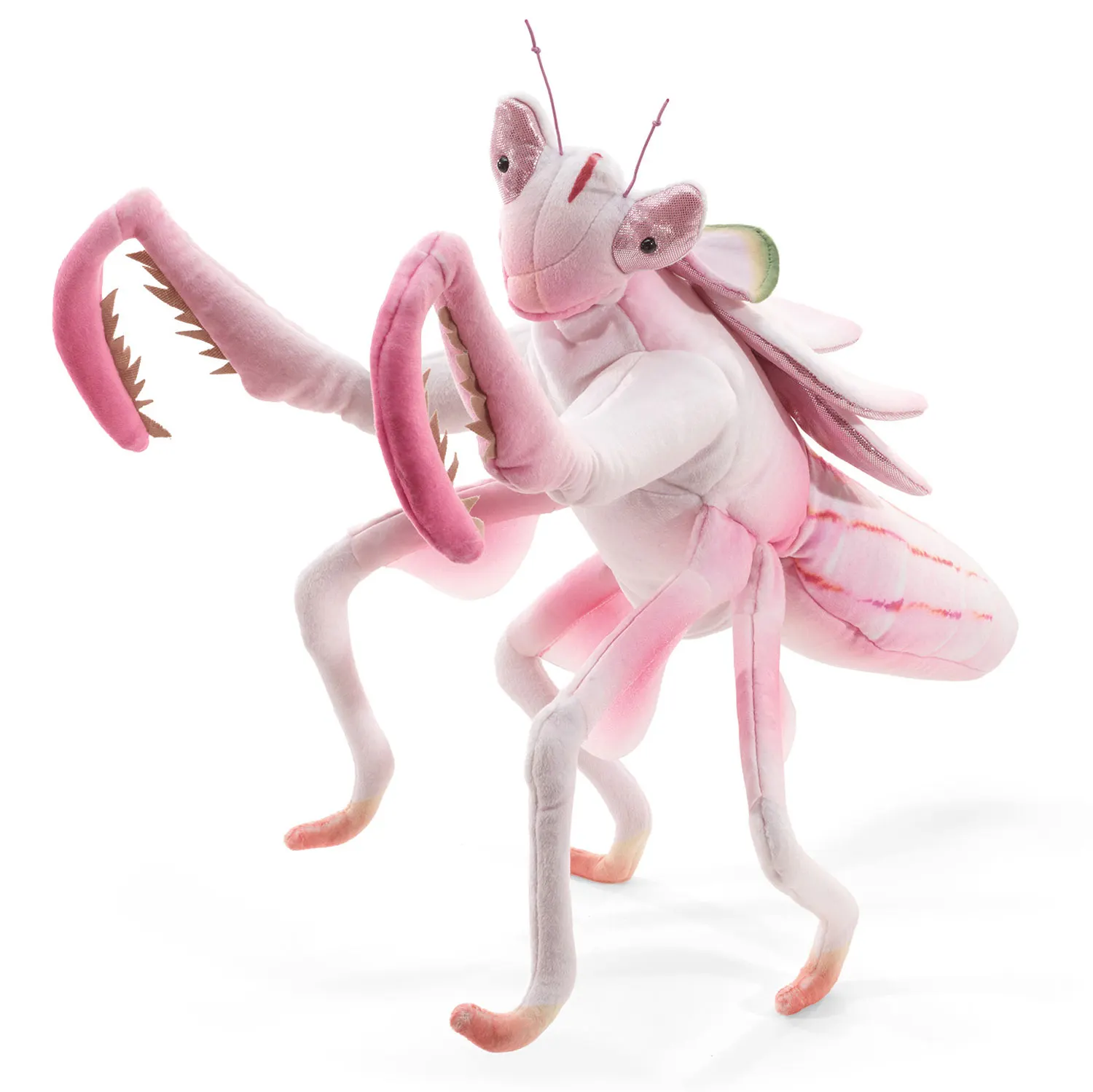 Orchid Mantis