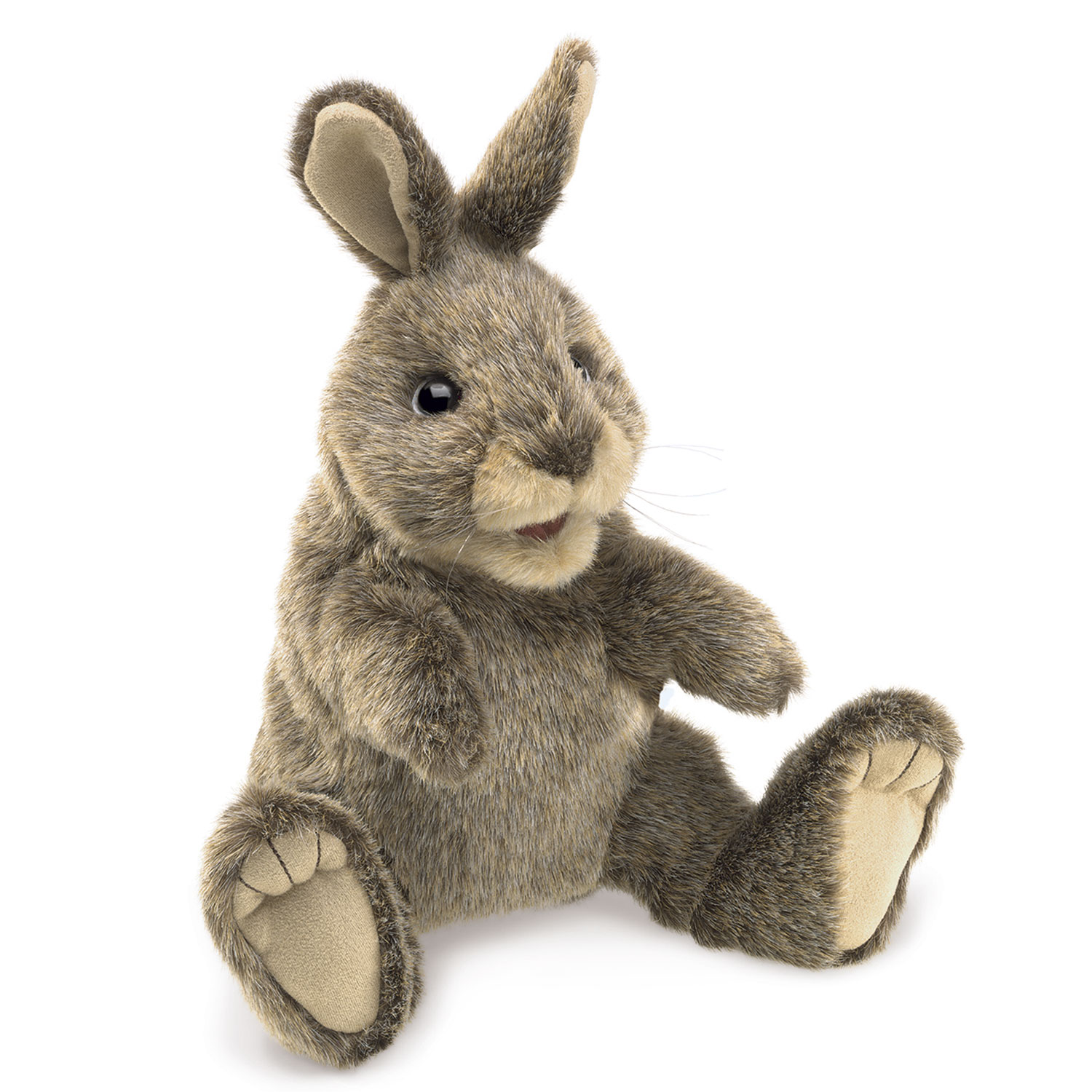 Kleines Baumwollschwanzkaninchen / Small Cottontail Rabbit