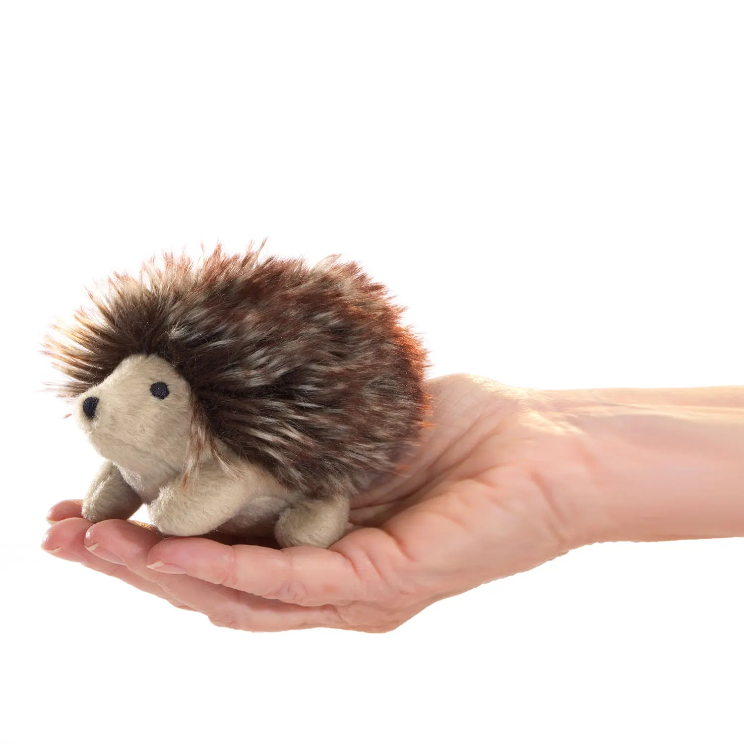 Mini Igel / Mini Hedgehog