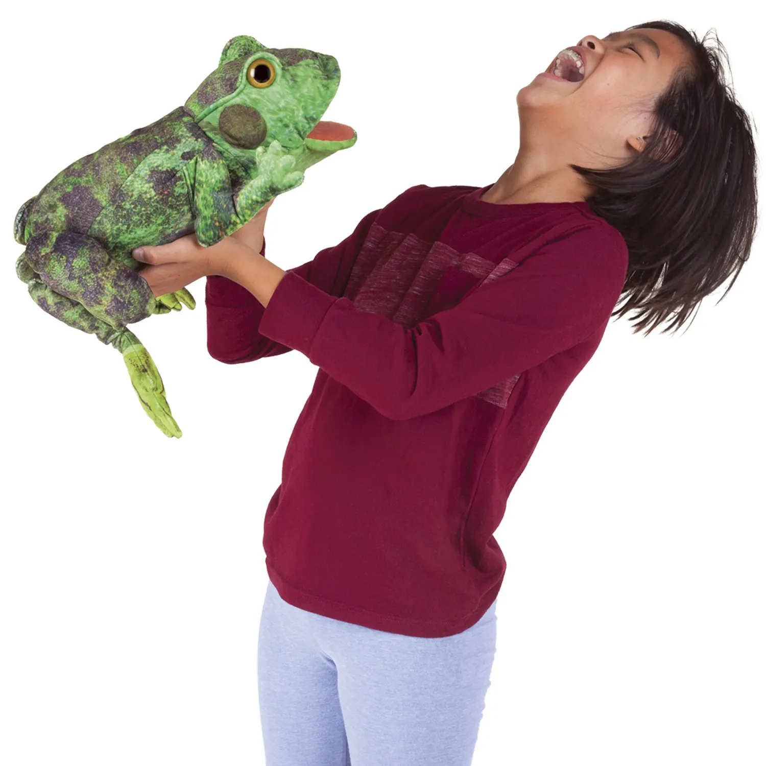 Metamorphose Frosch / Frog Life Cycle-Folkmanis® Puppets