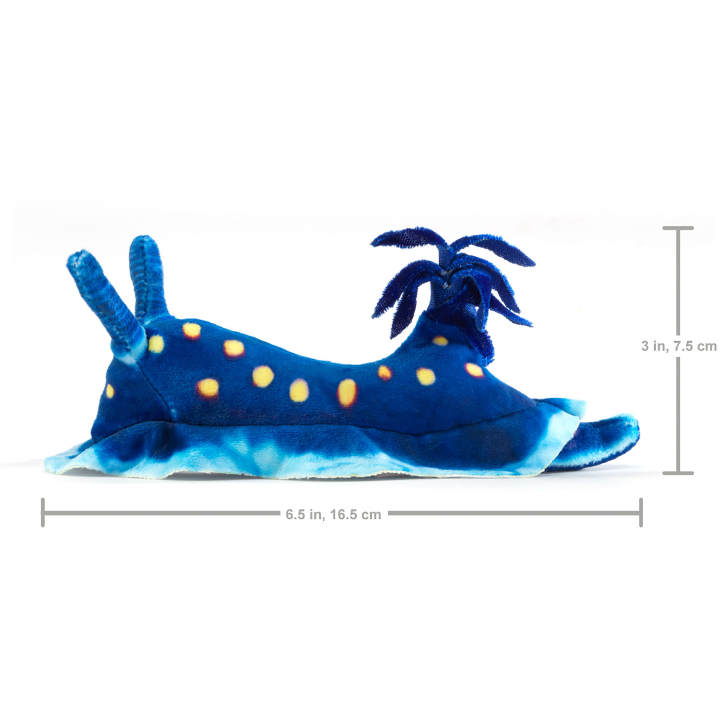 Mini Blue Nudibranch / Mini Ozeanschnecke-Folkmanis® Puppets