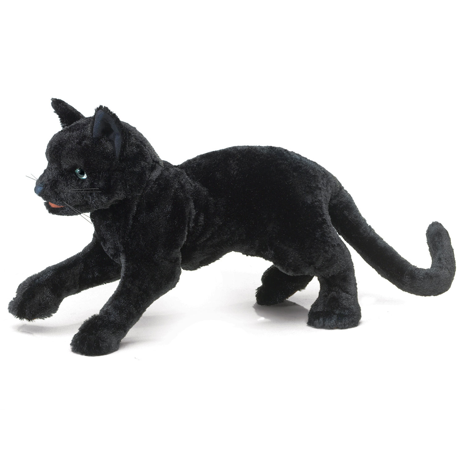 Schwarze Katze / Black Cat