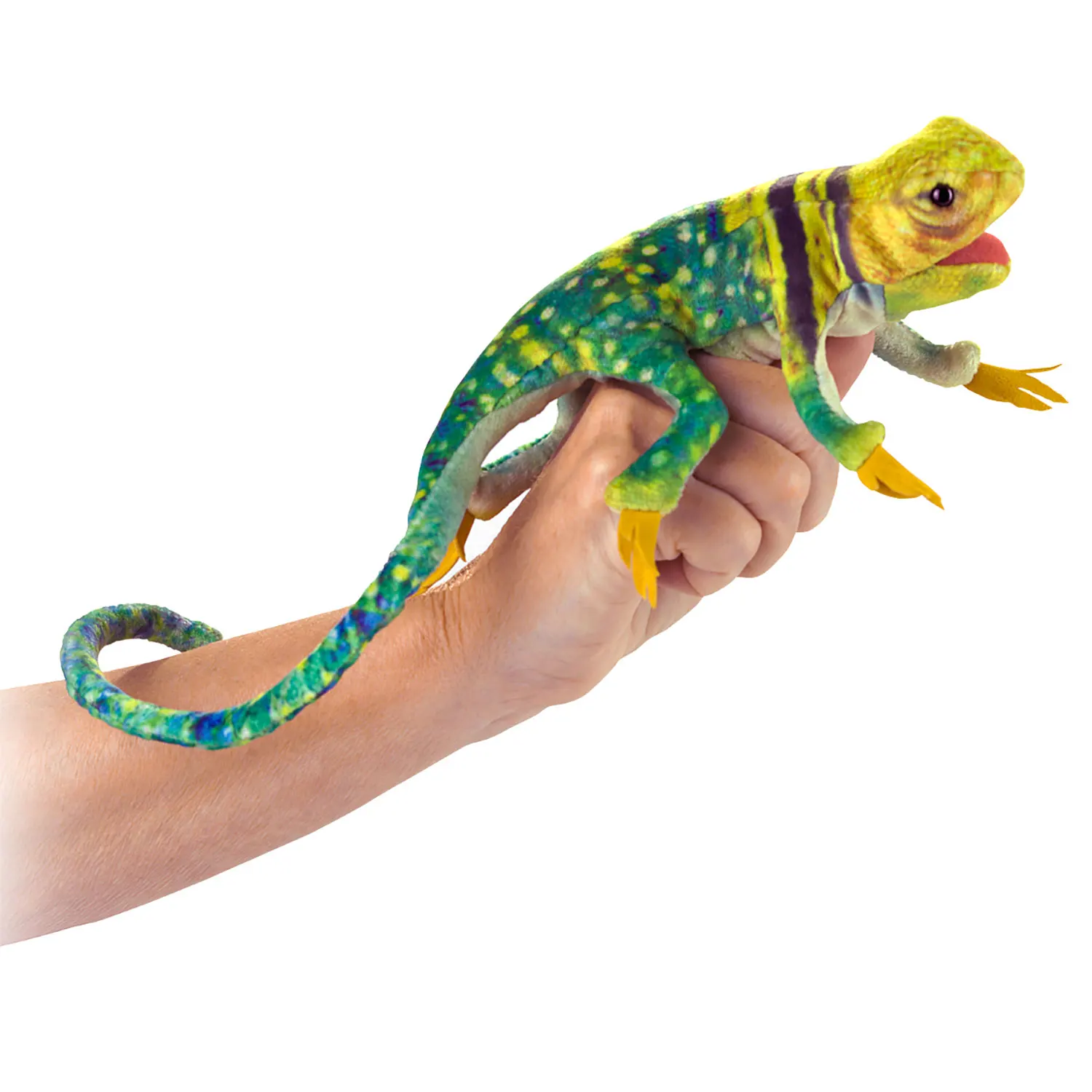 Mini Collared Lizard / Mini Eidechse Mini Collared Lizard / Mini Eidechse-Folkmanis® Puppets