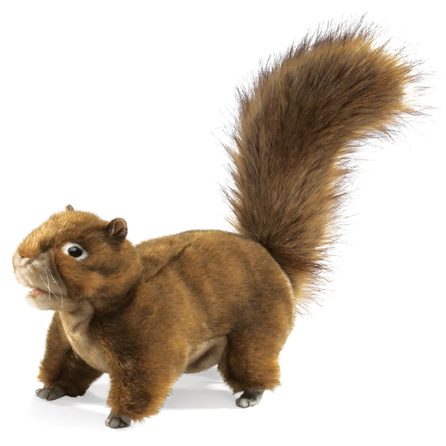 Eichhörnchen / Red Squirrel Eichhörnchen / Red Squirrel-Folkmanis® Puppets