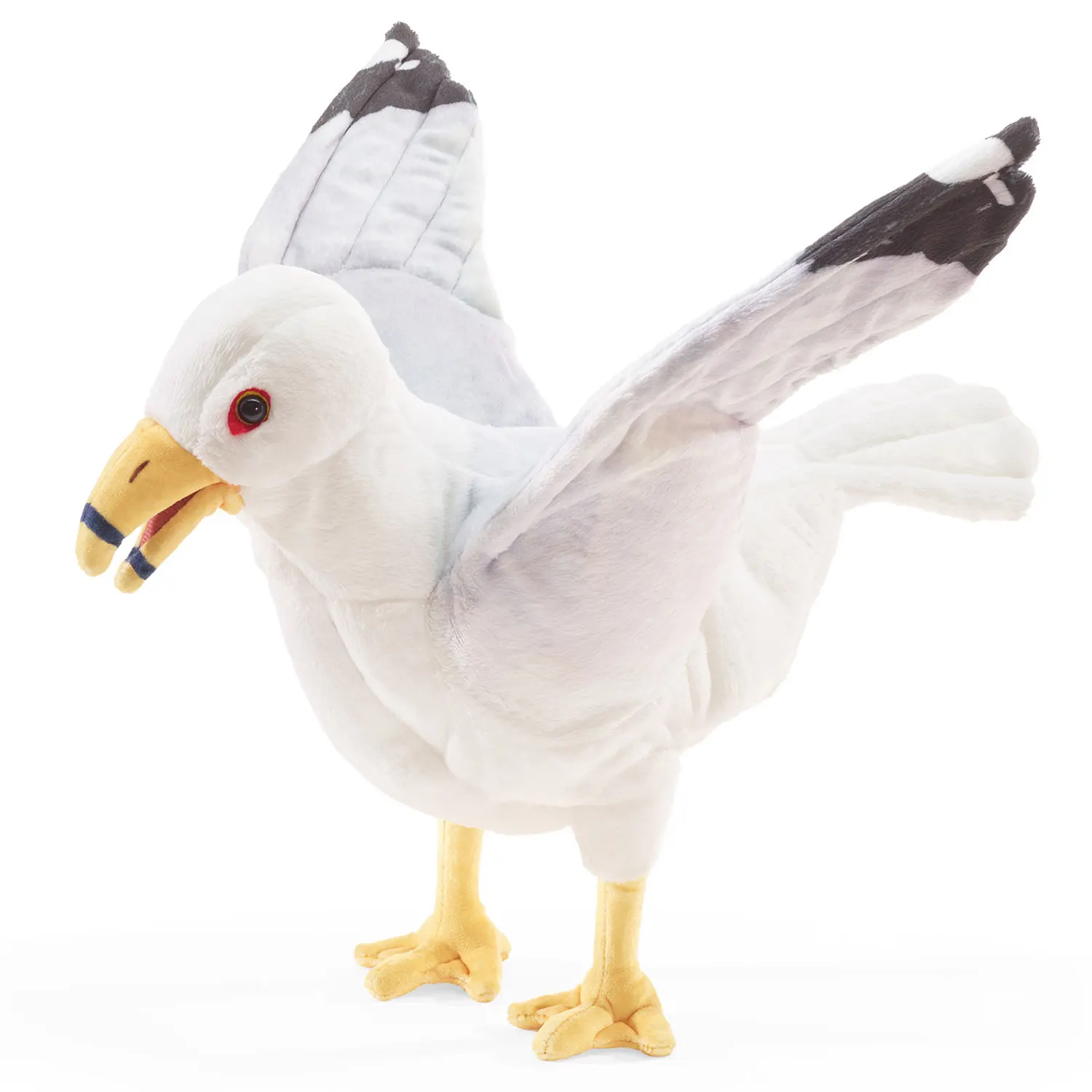 Gull