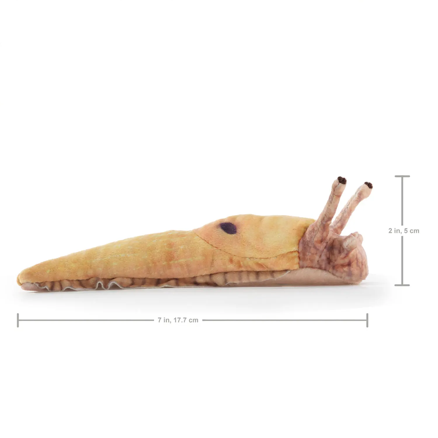Mini Bat / Mini Fledermaus-Folkmanis® Handpuppen