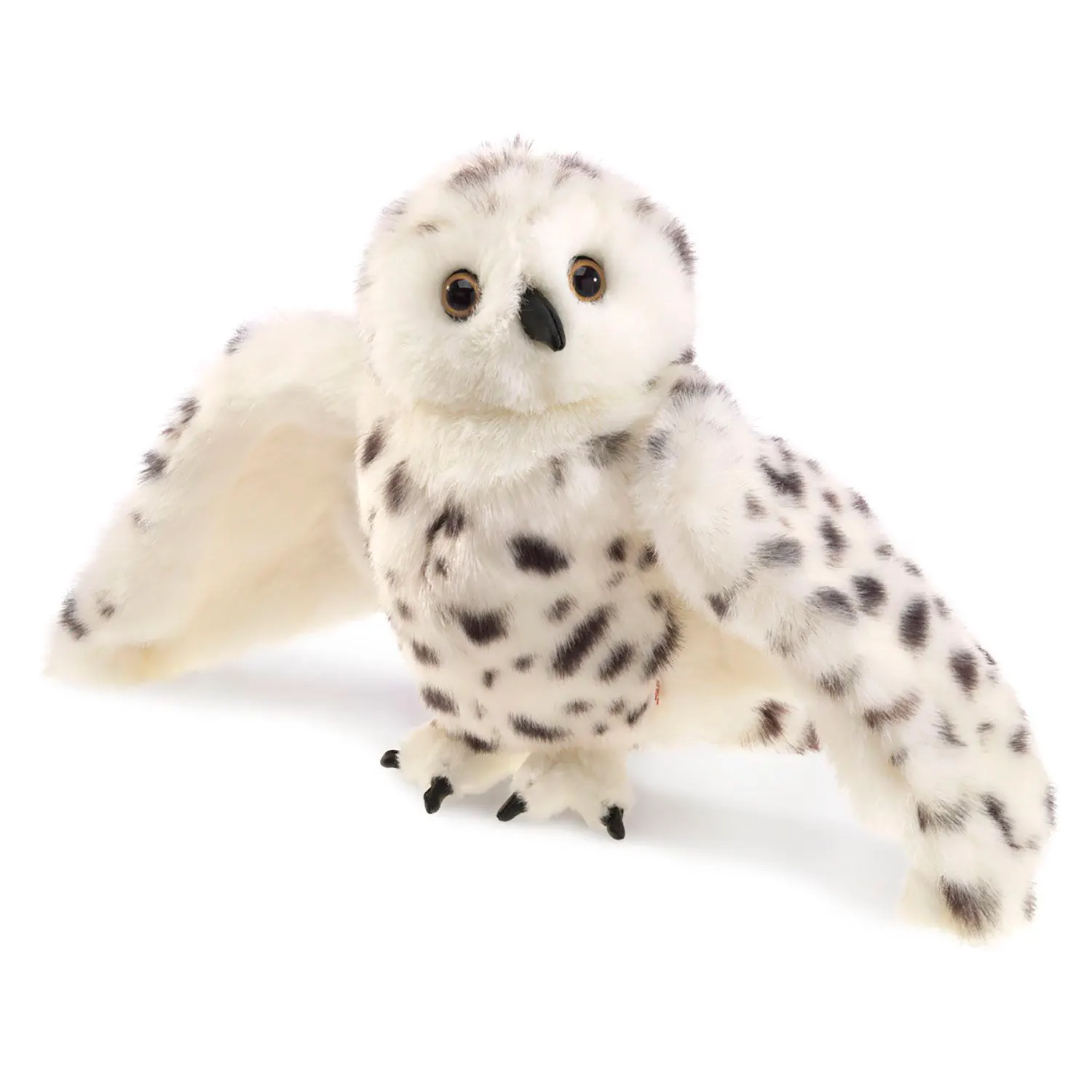 Schnee-Eule / Snowy Owl