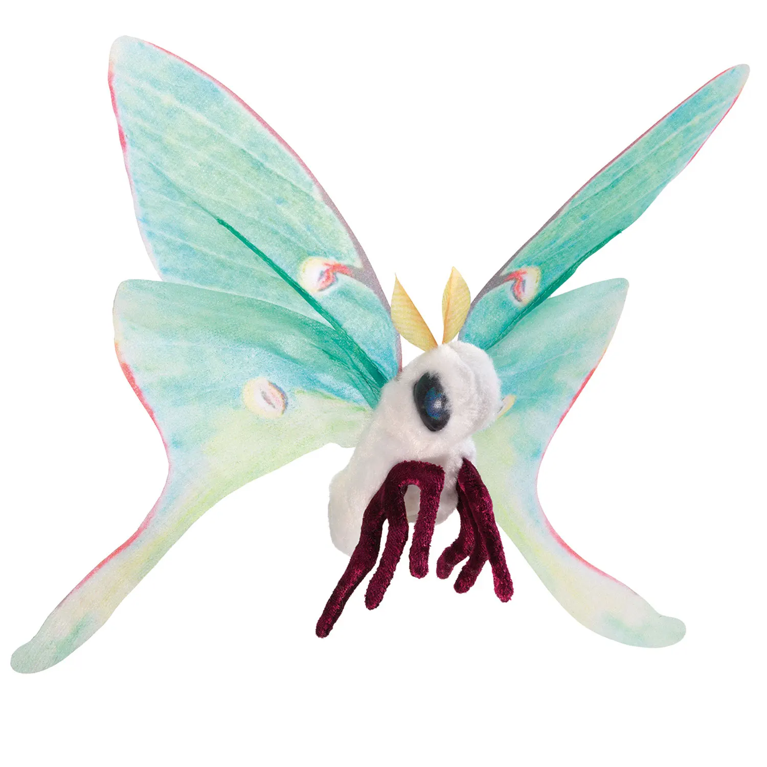 Mini Luna Moth / Mini Lunamotte