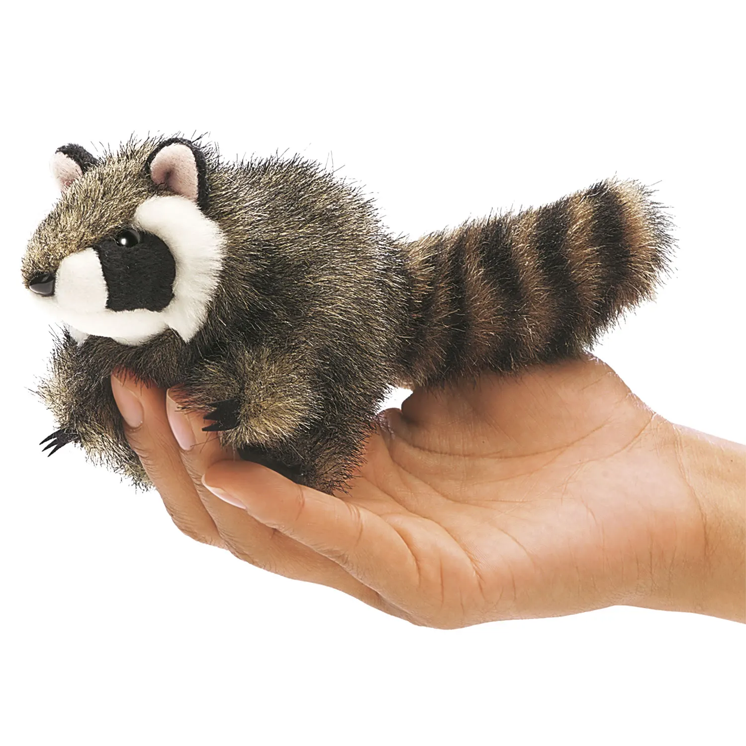 Mini Waschbär / Mini Raccoon Mini Waschbär / Mini Raccoon-Folkmanis® Puppets