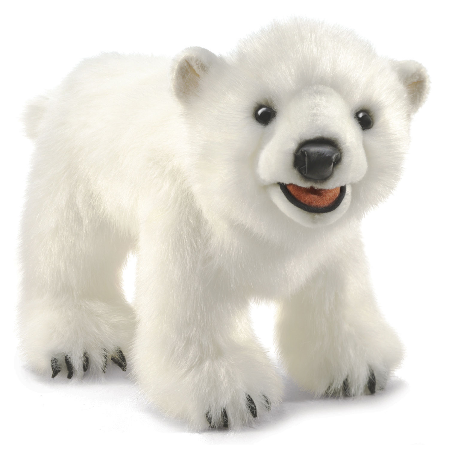 Eisbärenjunges / Polar Bear Cub