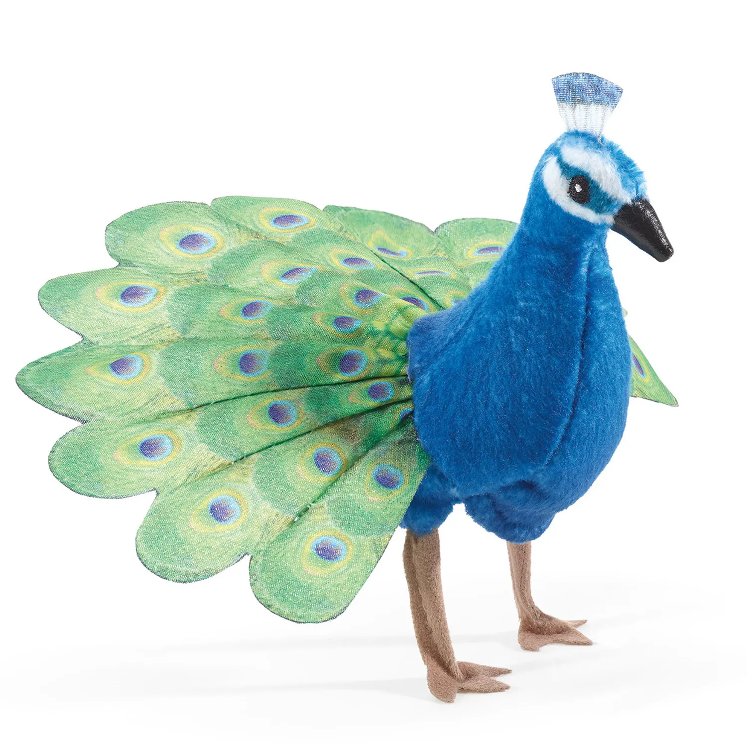 Mini Peacock / Mini Pfau