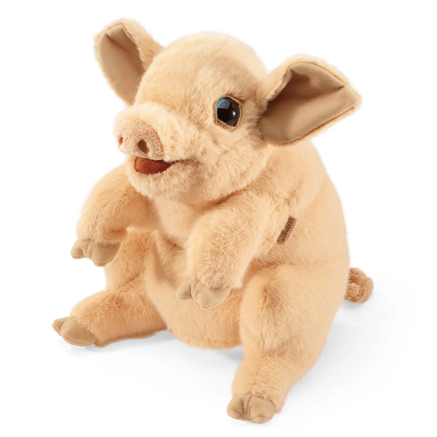Schweinchen / Piggy