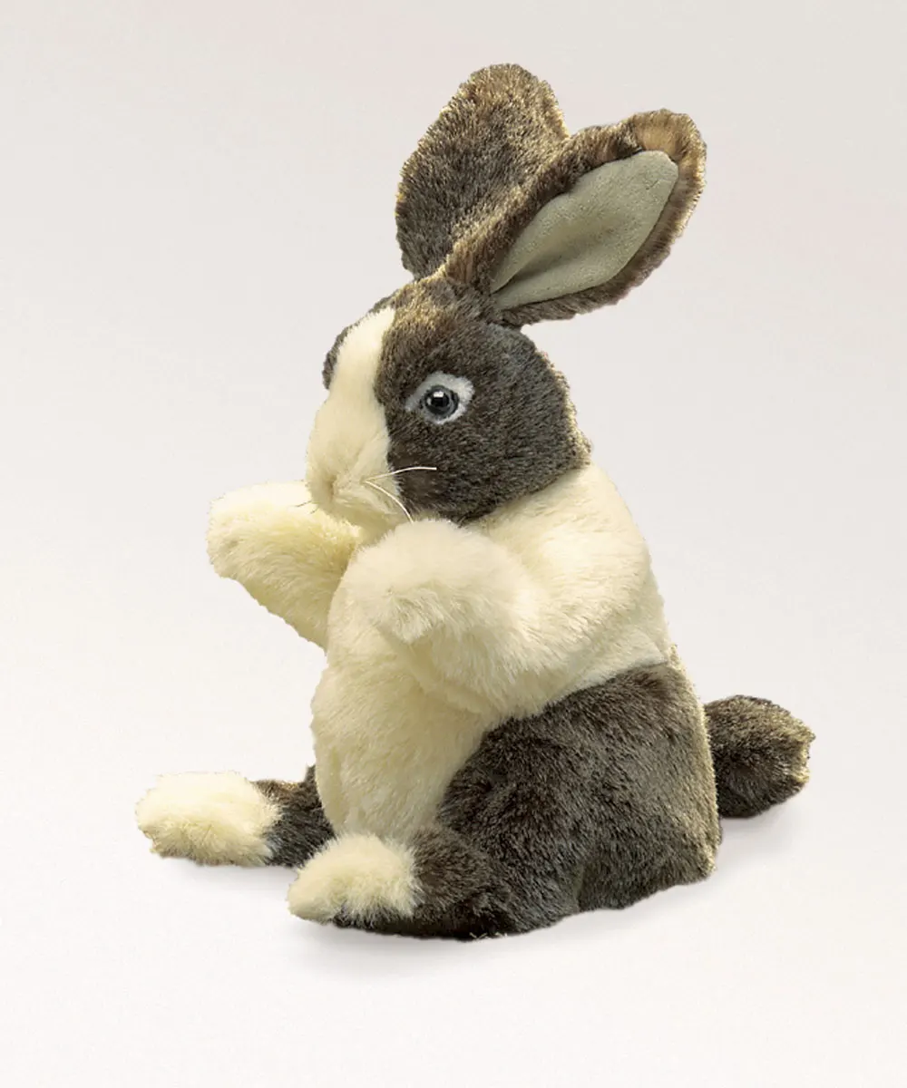 Baby Hase Dutch / Baby Dutch Rabbit Baby Hase Dutch / Baby Dutch Rabbit-Folkmanis® Puppets