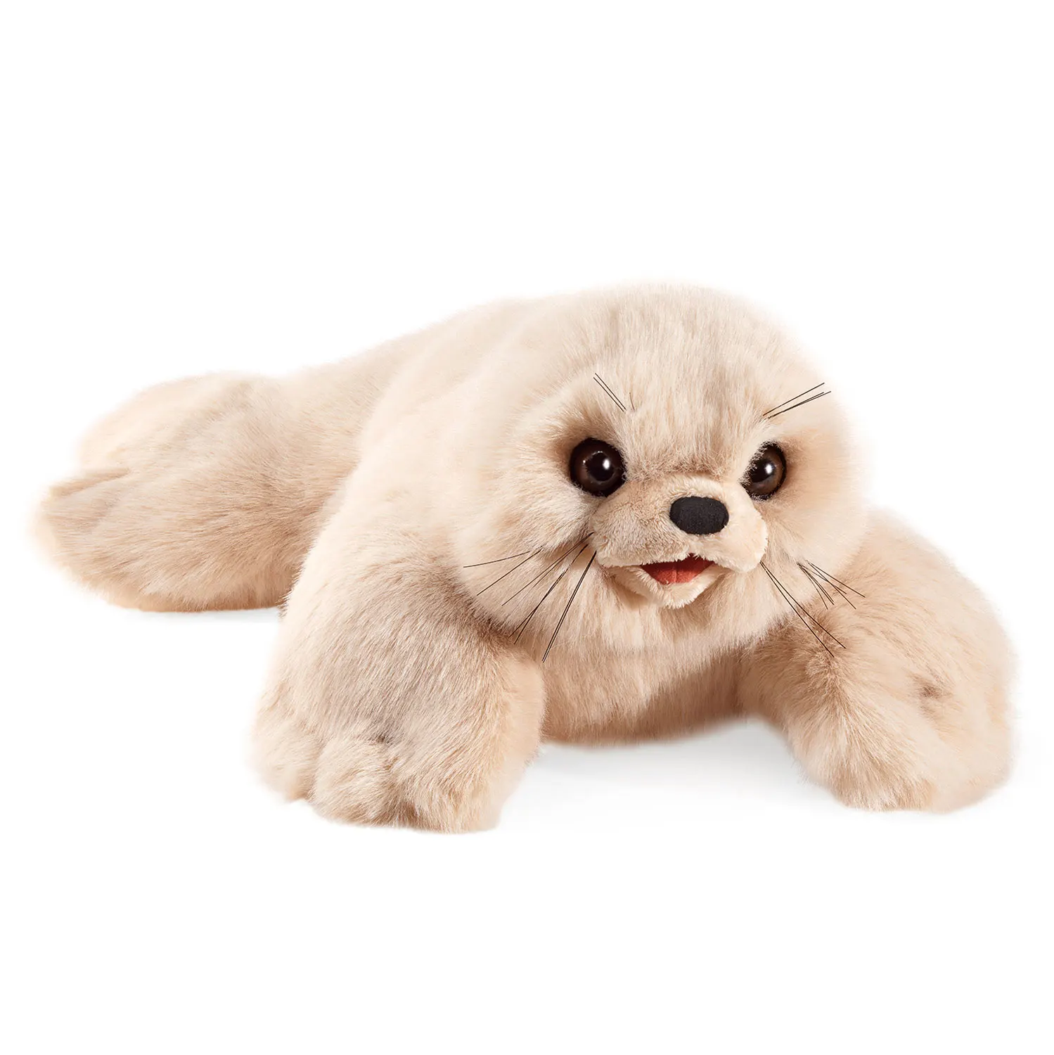 Harp Seal Pup Harp Seal Pup