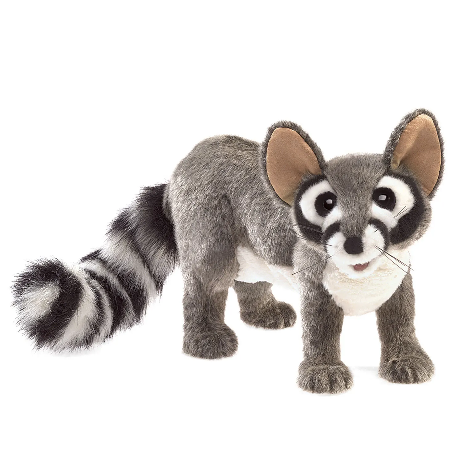 Katzenfrett (aus Waschbärfamilie) / Ringtail Cat Katzenfrett (aus Waschbärfamilie) / Ringtail Cat-Folkmanis® Puppets
