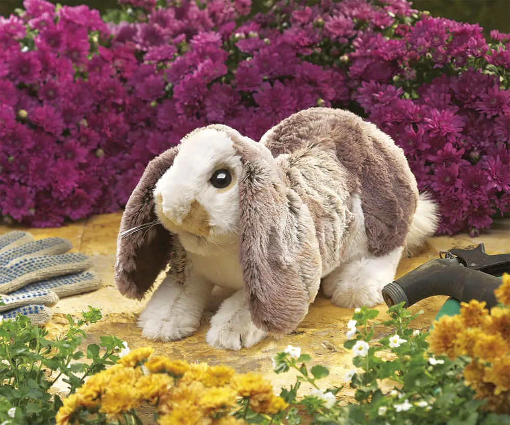 Hängeohr-Hasenbaby / Baby Lop Rabbit Hängeohr-Hasenbaby / Baby Lop Rabbit-Folkmanis® Puppets