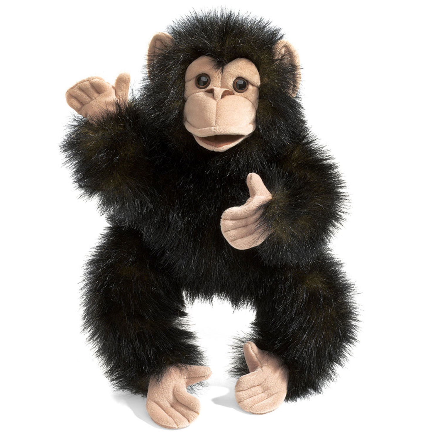 Baby Schimpanse / Baby Chimpanzee