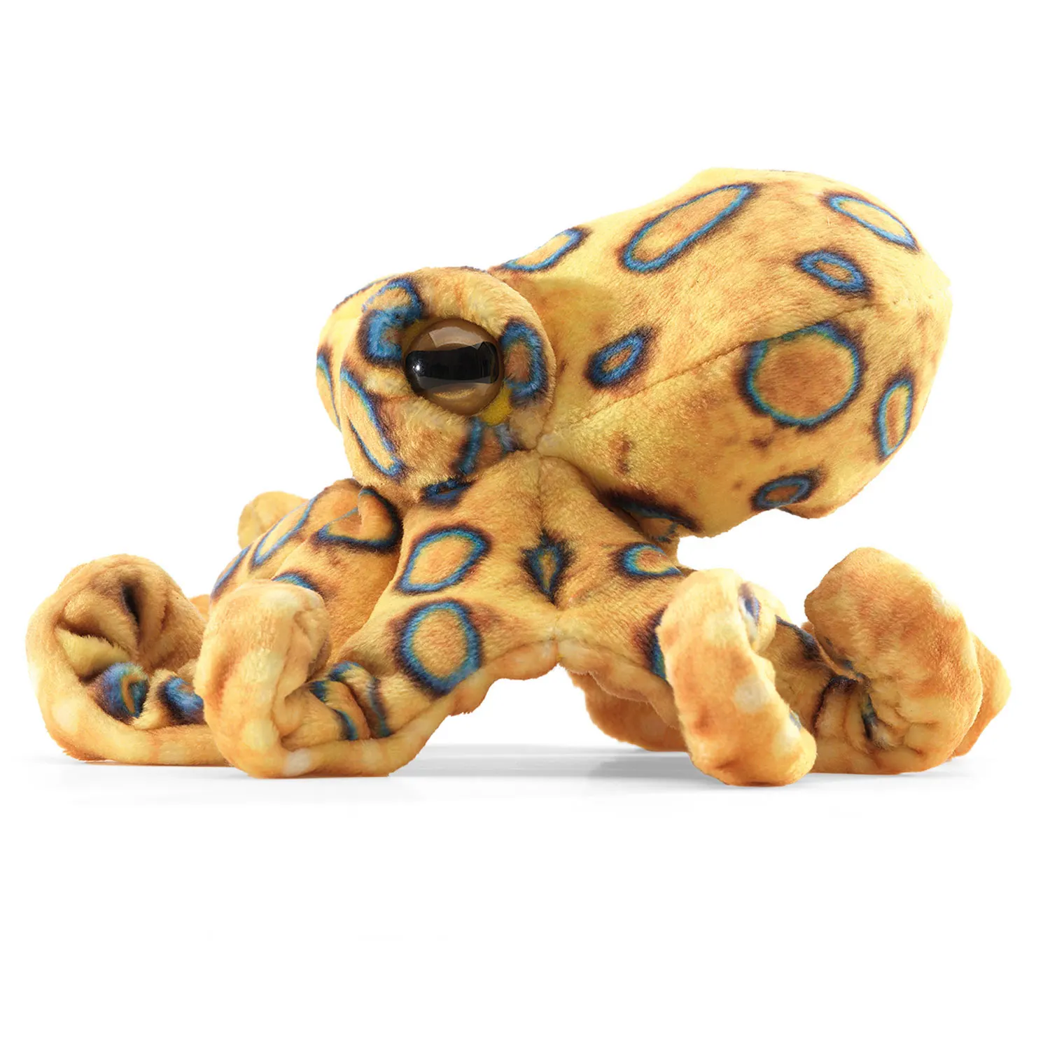 Mini Blue-ringed  Octopus / Mini blaugeringelte Krake Mini Blue-ringed  Octopus / Mini blaugeringelte Krake-Folkmanis® Puppets