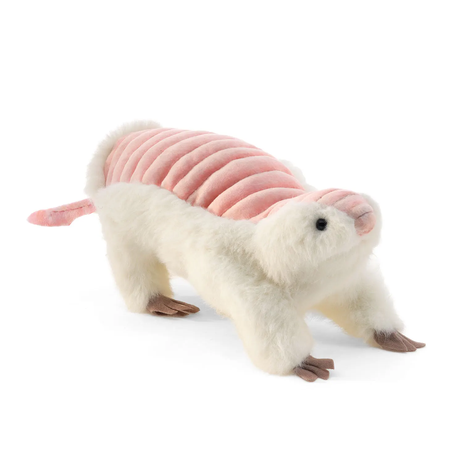 Pink Fairy Armadillo / Rosa Feen Gürteltier