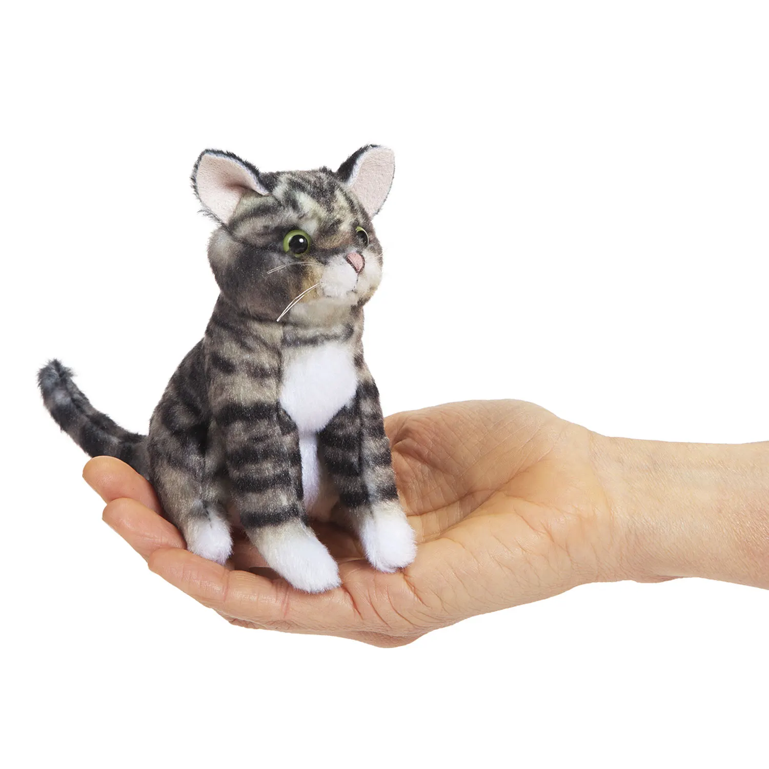Mini Kätzchen / Mini Tabby Cat Mini Kätzchen / Mini Tabby Cat-Folkmanis® Puppets