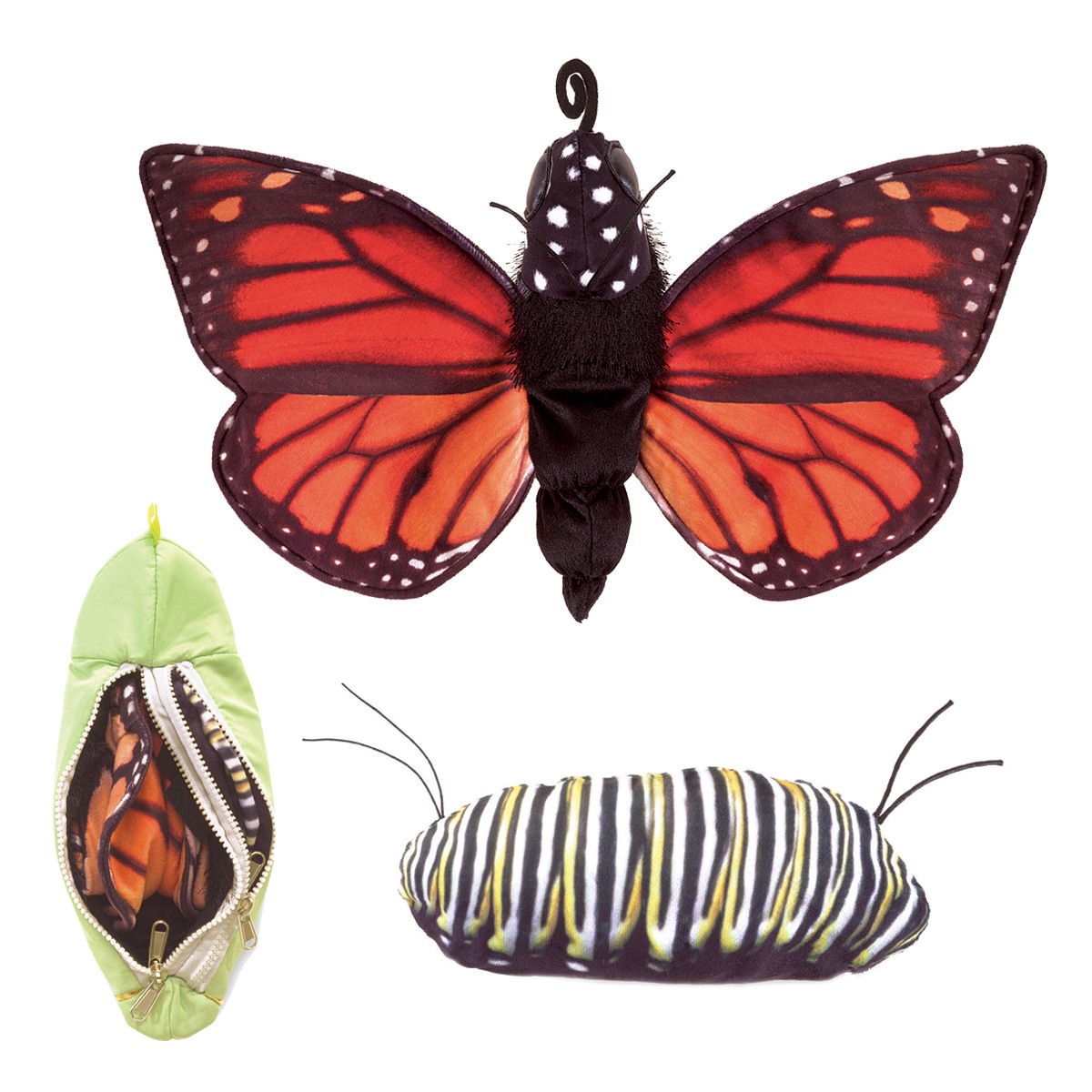 Metamorphose Schmetterling / Monarch Life Cycle - Metamorphose